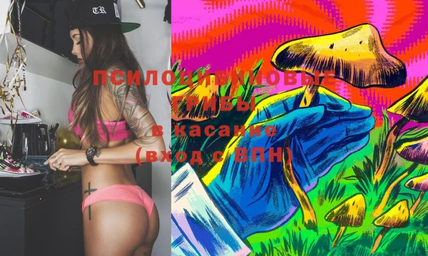 эйфоретик Михайлов