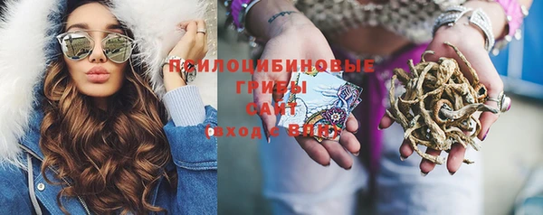 соль курить ск Михайловка